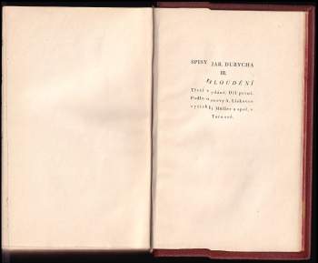 Jaroslav Durych: Bloudění