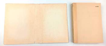 Jan Martinec: Bloudění v kruhu