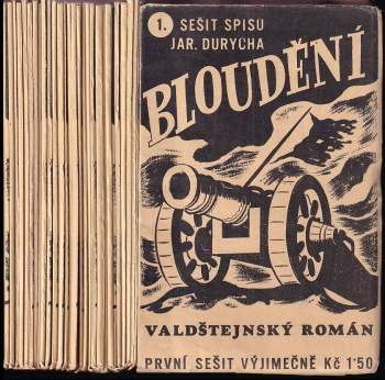 Bloudění - Valdštejnský román