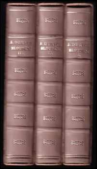 Jaroslav Durych: Bloudění