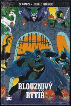 Blouznivý rytíř