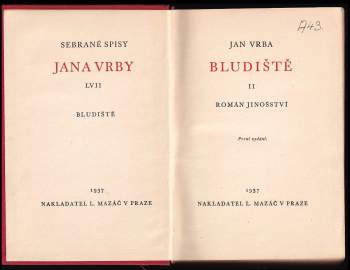 Jan Vrba: Bludiště