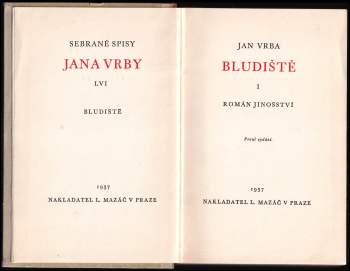 Jan Vrba: Bludiště