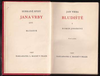 Jan Vrba: Bludiště