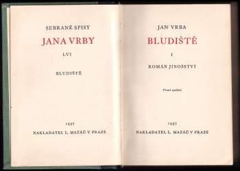 Jan Vrba: Bludiště