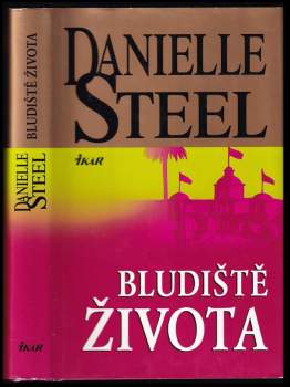Danielle Steel: Bludiště života
