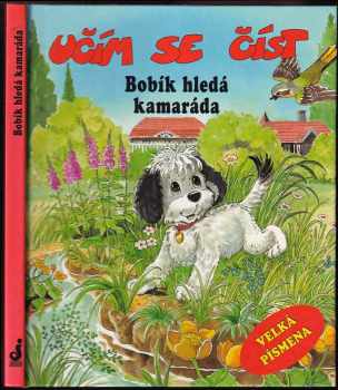 Bobík hledá kamaráda