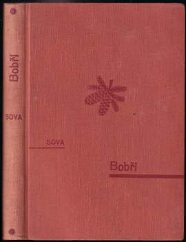 Bobři