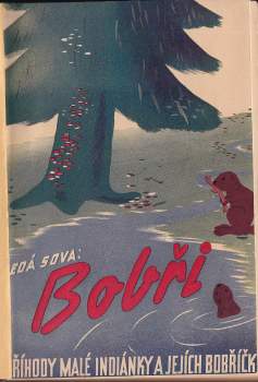 Wa-Ša-Quan-Asin: Bobři