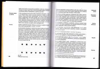 Wassily Kandinsky: Bod - linie - plocha