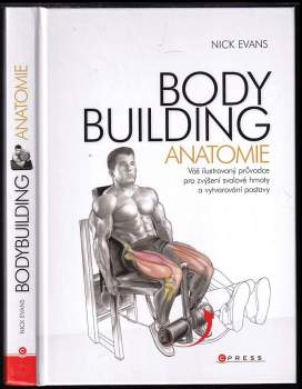 Bodybuilding - anatomie