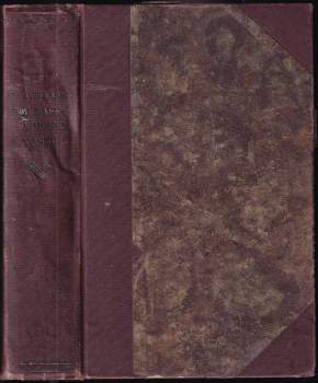 Sláva Václav Jelínek: Boj lásky s démonem vášně