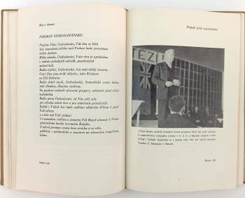 Antonín Cekota: Boj o domov