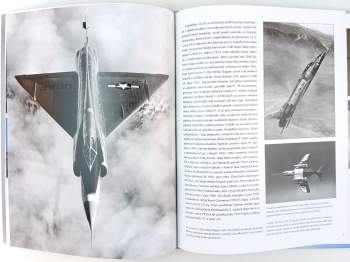 Riccardo Niccoli: Bojová letadla