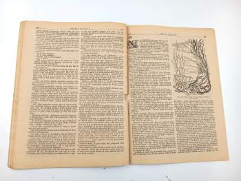 L. S. Sattler: Bojovníci o Texas - Rodokaps č. 305