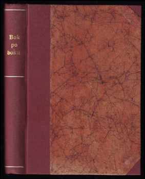 Ljudevit Pivko: Bok po boku