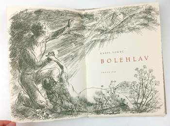 Karel Vokáč: Bolehlav