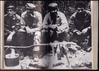 Ernesto Che Guevara: Bolivijský deník