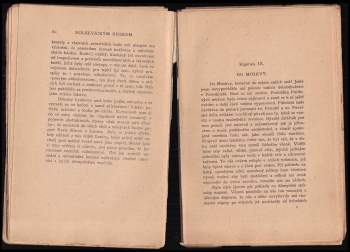 Ethel Snowden: Bolševickým Ruskem
