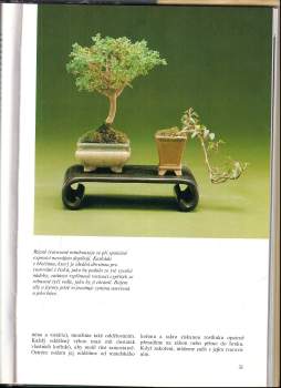 Jan Tykač: Bonsai