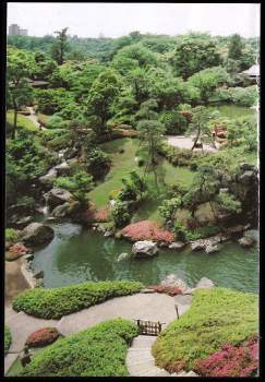 Christine Stewart: Bonsai