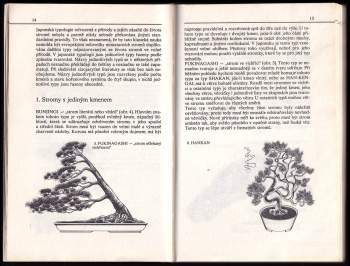 Miloslav Ryšán: Bonsaj