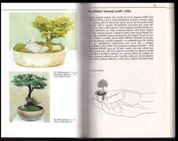 Miloslav Ryšán: Bonsaj