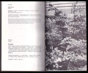 Miloslav Ryšán: Bonsaj