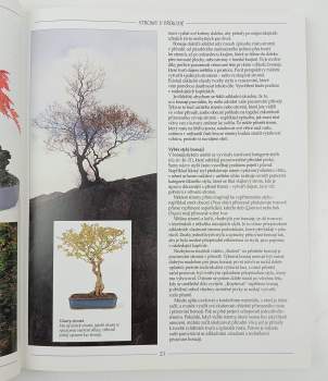 Harry Tomlinson: Bonsaje