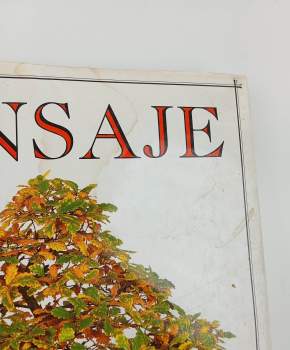 Harry Tomlinson: Bonsaje