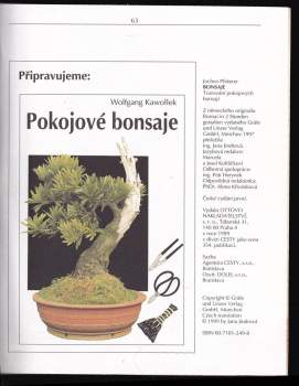 Jochen Pfisterer: Bonsaje