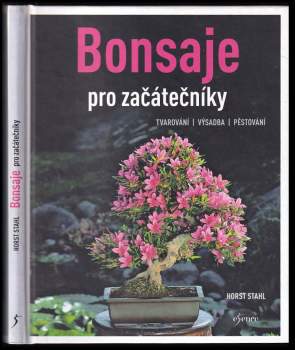 Bonsaje pro začátečníky