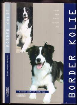 Border kolie