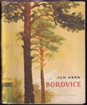 Borovice