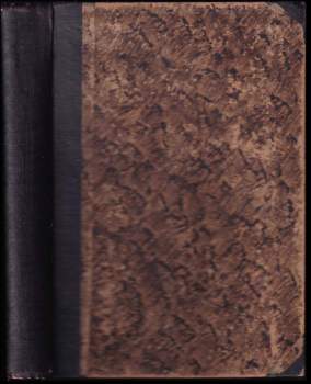 Luigi Motta: Bospor v plamenech