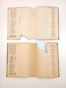 Upton Sinclair: Boston