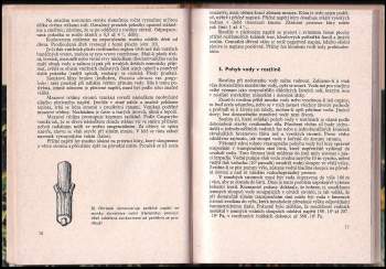 Hans Molisch: Botanická pozorování a pokusy s rostlinami bez přístrojů