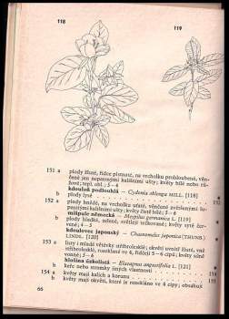 František Polívka: Botanický klíč