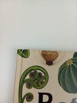 K. J Willis: Botanicum