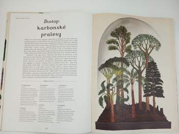 K. J Willis: Botanicum