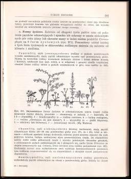 Eduard Strasburger: Botanika
