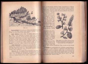 Bohuslav Řehák: Botanika pro vyšší třídy středních škol a učitelské ústavy