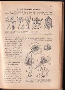 Gotthard Smolař: Botanika pro vyšší třídy středních škol