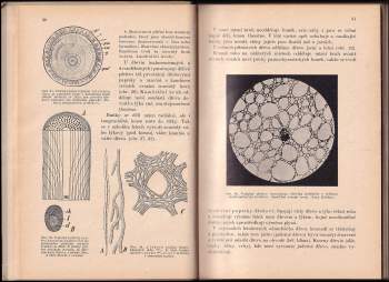 Jaromír Klika: Botanika pro vyšší třídy středních škol