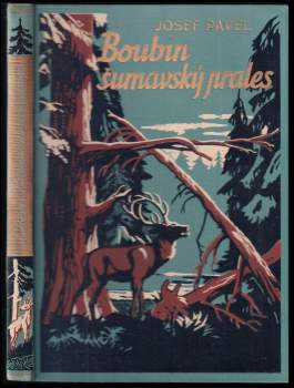 Boubín, šumavský prales