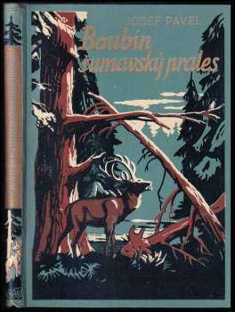 Boubín, šumavský prales