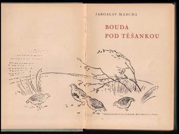 Jaroslav Marcha: Bouda pod Těšankou