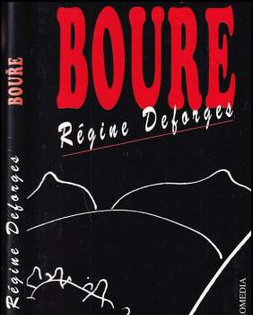 Bouře