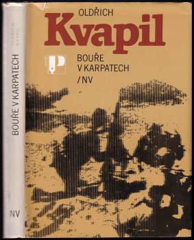 Bouře v Karpatech