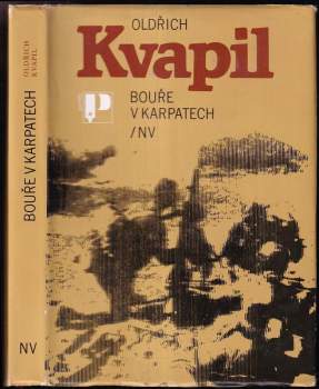 Bouře v Karpatech